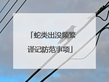 蛇类出没频繁 谨记防范事项