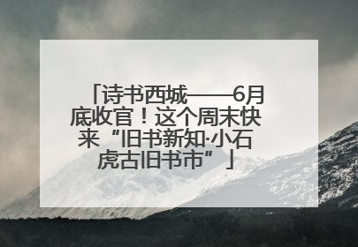 诗书西城——6月底收官！这个周末快来“旧书新知·小石虎古旧书市”