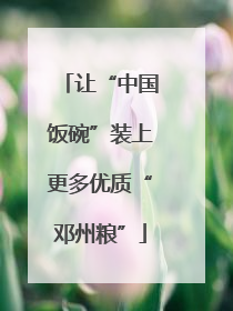 让“中国饭碗”装上更多优质“邓州粮”