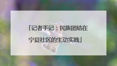记者手记：民族团结在宁夏社区的生动实践