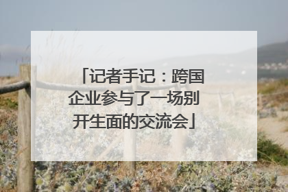 记者手记：跨国企业参与了一场别开生面的交流会