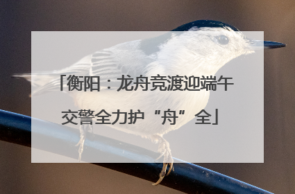 衡阳：龙舟竞渡迎端午 交警全力护“舟”全