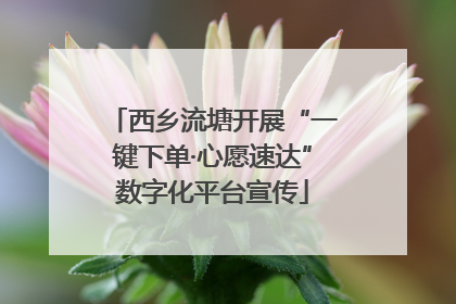 西乡流塘开展“一键下单·心愿速达”数字化平台宣传