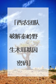 西农团队破解秦岭野生木耳基因密码