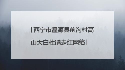 西宁市湟源县前沟村高山大白杜鹃走红网络