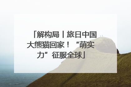 解构局丨旅日中国大熊猫回家！“萌实力”征服全球