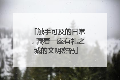 触手可及的日常，藏着一座有礼之城的文明密码