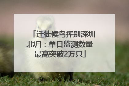 迁徙候鸟挥别深圳北归：单日监测数量最高突破2万只