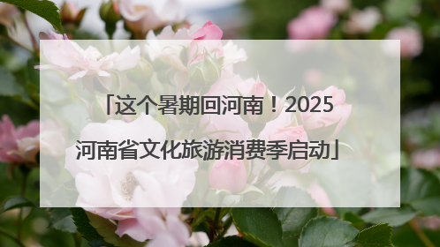 这个暑期回河南！2025河南省文化旅游消费季启动