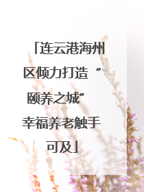 连云港海州区倾力打造“颐养之城” 幸福养老触手可及