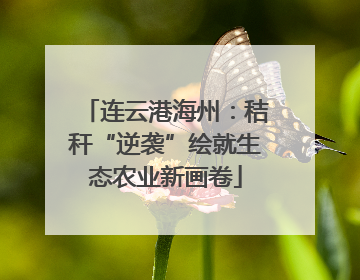 连云港海州：秸秆“逆袭”绘就生态农业新画卷