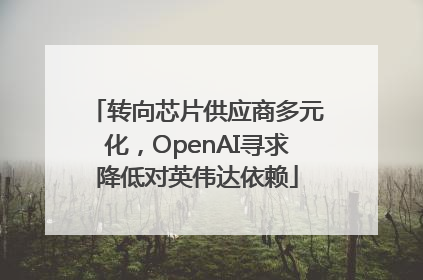 转向芯片供应商多元化，OpenAI寻求降低对英伟达依赖