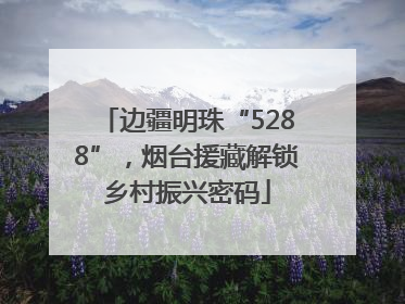 边疆明珠“5288”，烟台援藏解锁乡村振兴密码