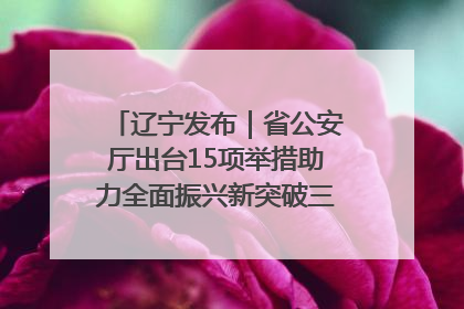 辽宁发布｜省公安厅出台15项举措助力全面振兴新突破三年行动决胜之战