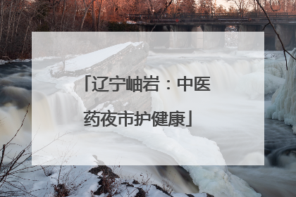辽宁岫岩：中医药夜市护健康