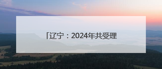 辽宁：2024年共受理专利预审请求7468件 获专利授权4213件