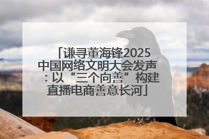 谦寻董海锋2025中国网络文明大会发声：以“三个向善”构建直播电商善意长河