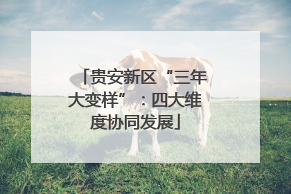 贵安新区“三年大变样”：四大维度协同发展
