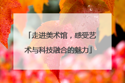 走进美术馆，感受艺术与科技融合的魅力