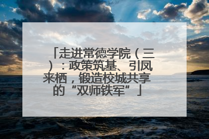 走进常德学院（三）：政策筑基、引凤来栖，锻造校城共享的“双师铁军”