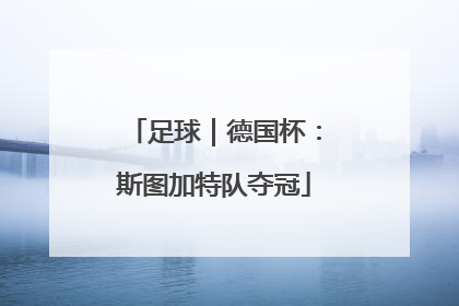 足球｜德国杯：斯图加特队夺冠