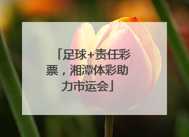 足球+责任彩票，湘潭体彩助力市运会