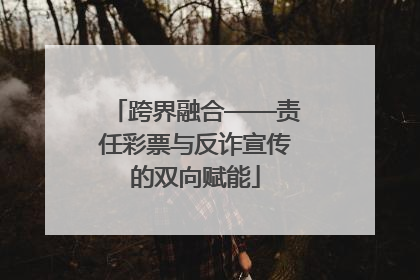 跨界融合——责任彩票与反诈宣传的双向赋能