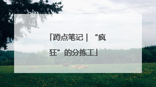 蹲点笔记｜“疯狂”的分拣工