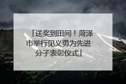 送奖到田间！菏泽市举行见义勇为先进分子表彰仪式