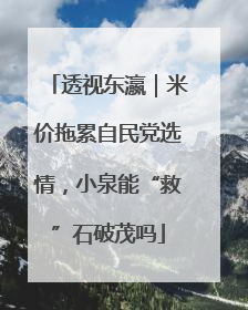 透视东瀛｜米价拖累自民党选情，小泉能“救”石破茂吗
