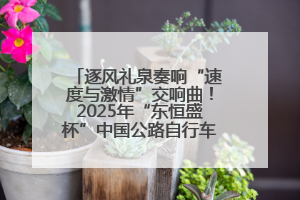 逐风礼泉奏响“速度与激情”交响曲！2025年“东恒盛杯”中国公路自行车联赛第五站（陕西·礼泉站）正式开赛