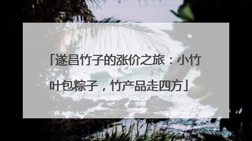 遂昌竹子的涨价之旅：小竹叶包粽子，竹产品走四方