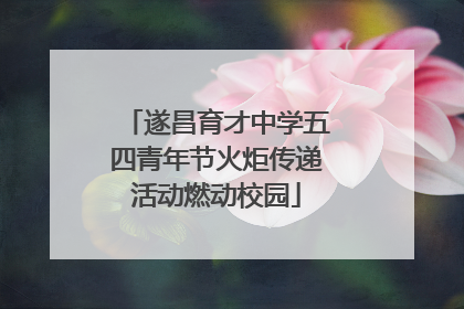 遂昌育才中学五四青年节火炬传递活动燃动校园