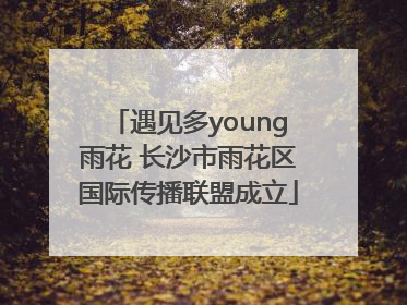 遇见多young雨花 长沙市雨花区国际传播联盟成立