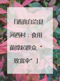 道真自治县河西村：食用菌撑起群众“致富伞”