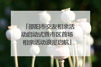 邵阳市交友相亲活动启动式暨市区首场相亲活动浪漫启航