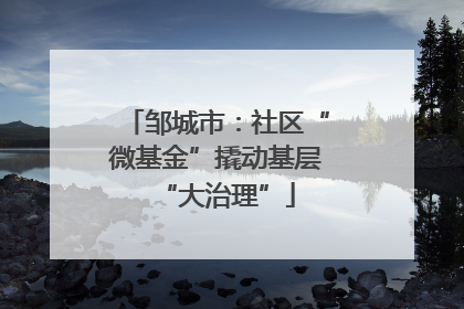 邹城市：社区“微基金”撬动基层“大治理”