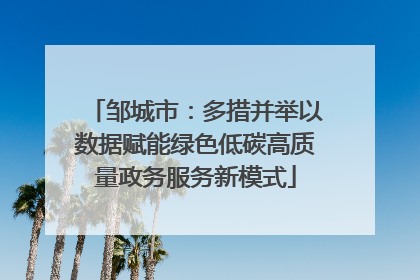 邹城市：多措并举以数据赋能绿色低碳高质量政务服务新模式