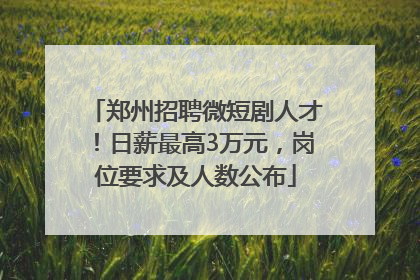 郑州招聘微短剧人才！日薪最高3万元，岗位要求及人数公布
