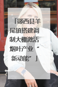 郧西县羊尾镇搭建调制大棚激活烟叶产业“新动能”