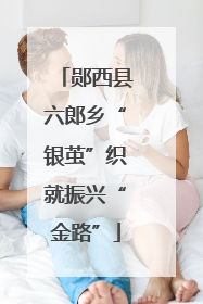 郧西县六郎乡“银茧”织就振兴“金路”