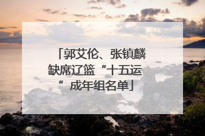郭艾伦、张镇麟缺席辽篮“十五运”成年组名单
