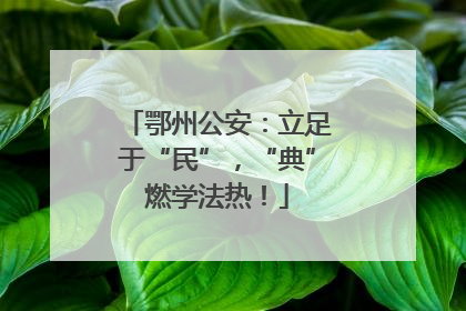 鄂州公安：立足于“民”，“典”燃学法热！