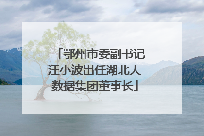 鄂州市委副书记汪小波出任湖北大数据集团董事长