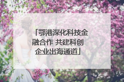 鄂港深化科技金融合作 共建科创企业出海通道