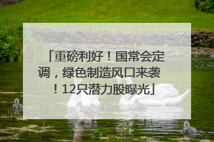 重磅利好！国常会定调，绿色制造风口来袭！12只潜力股曝光