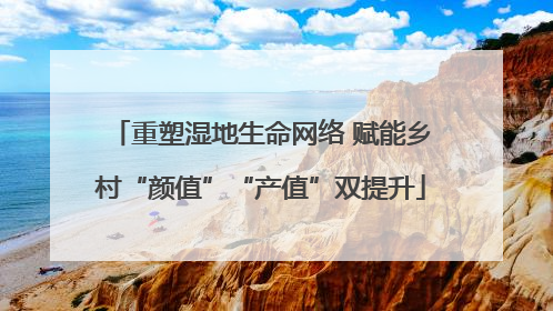 重塑湿地生命网络 赋能乡村“颜值”“产值”双提升