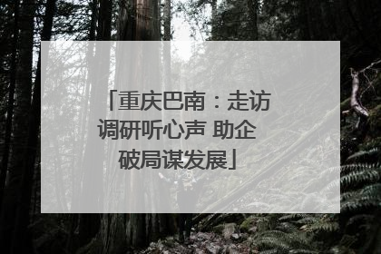 重庆巴南：走访调研听心声 助企破局谋发展