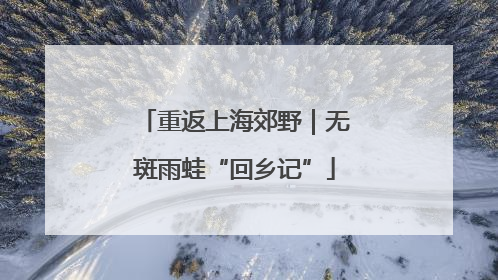 重返上海郊野｜无斑雨蛙“回乡记”