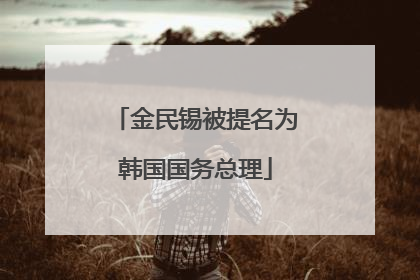 金民锡被提名为韩国国务总理